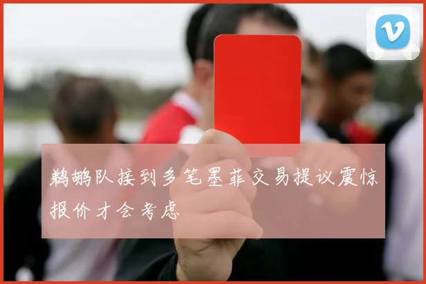 鹈鹕队接到多笔墨菲交易提议震惊报价才会考虑